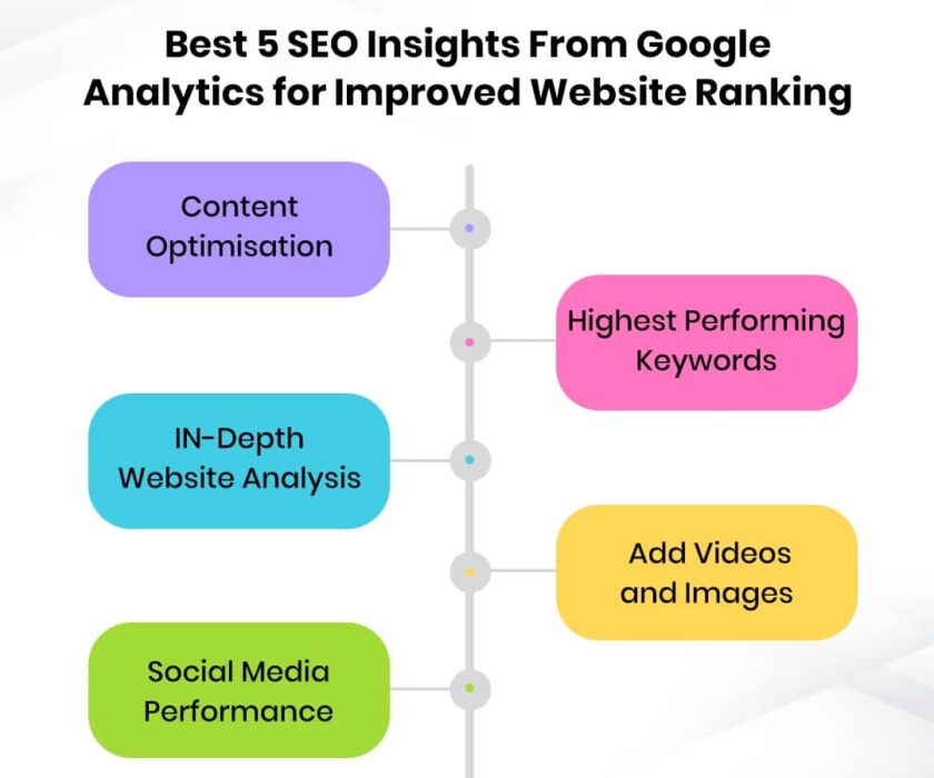 SEO Insights