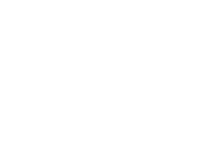 Ikonic
