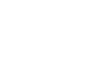 Surge Secure