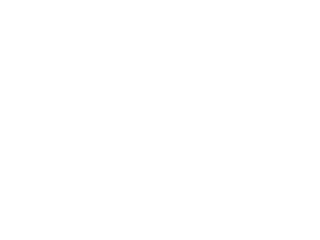 The Professionals Network